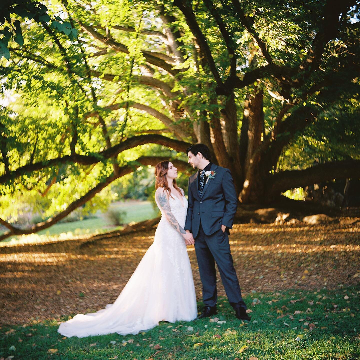 Last year, I got to help shoot this wedding for @flickerandelm using only film. Lovedddd the outcome with these shots! Used a mix of medium format 120 and 35mm film 🎞️
&bull;
&bull;
&bull;
#filmisnotdead #filmphotography #filmphotographer #35mmfilm 