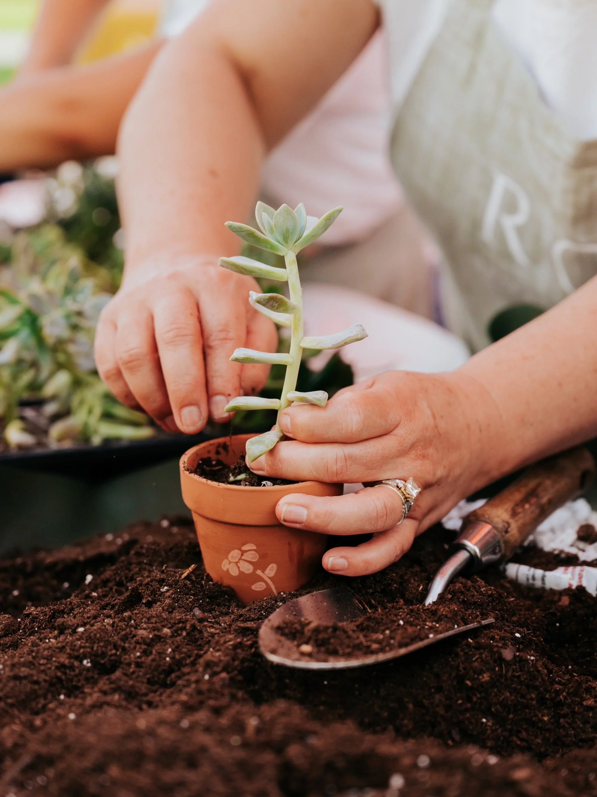 Had a great time yesterday at @momsmeetmarket with @rivkalvrealtor! Market visitors made the cutest succulents and got some photos on a beautiful backdrop.

Thank you @rivkalvrealtor for inviting me! ✨

#LehighValleyPhotographer #LehighValleyFamilyPh