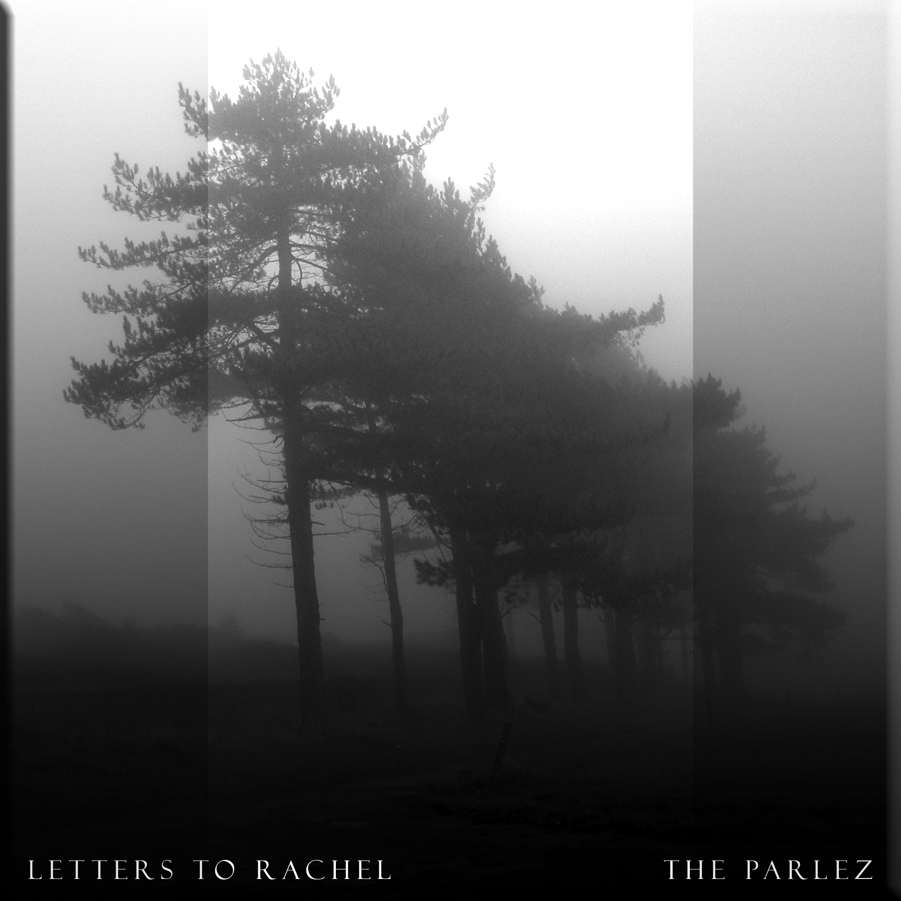 Letters To Rachel.jpg