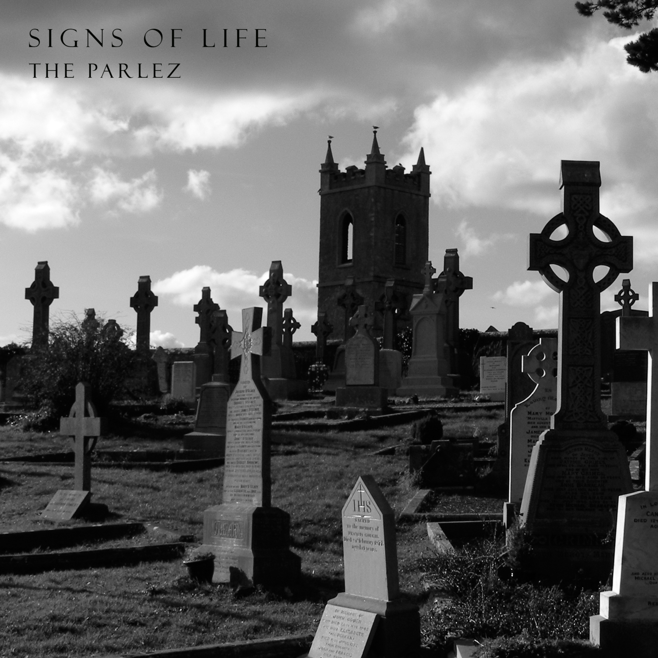 Signs Of Life-1.jpg