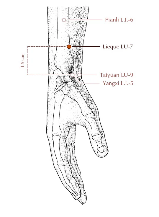Lu7.jpg