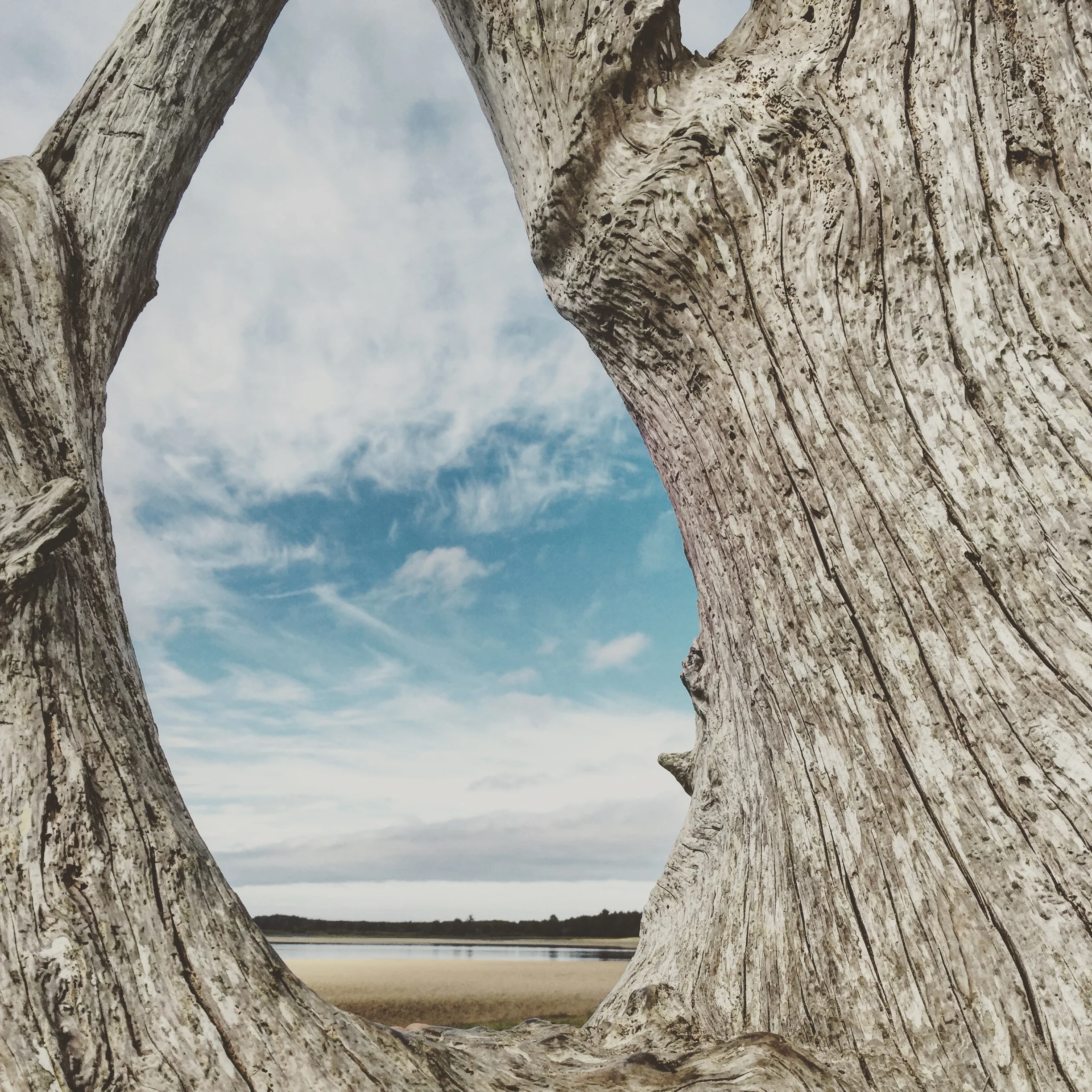 New perspectives