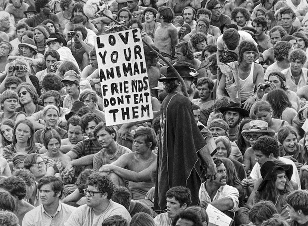 A man holds a pro-vegetarian poster amongst the crowd, Woodstock Festival, 1969 © Baron Wolman