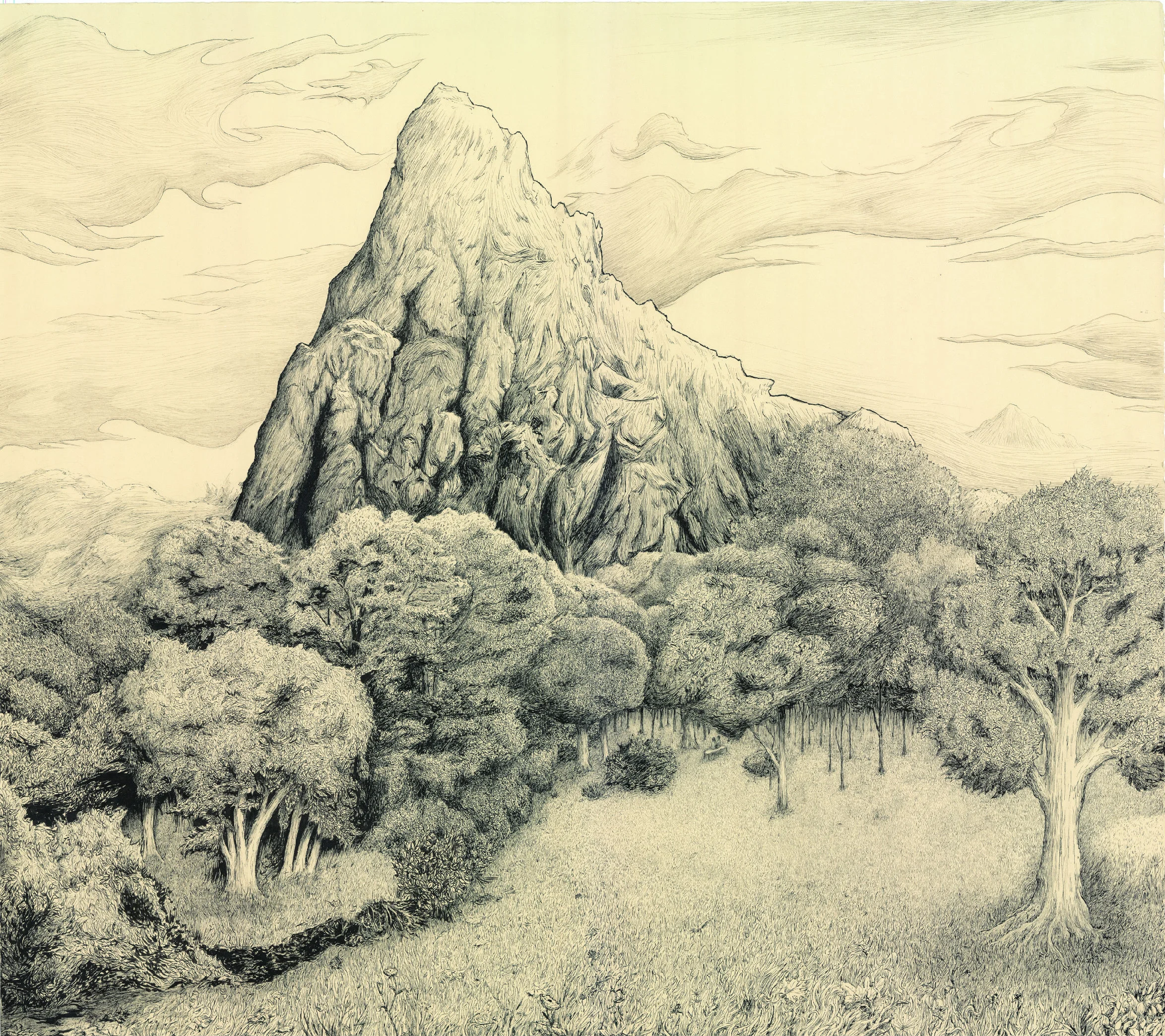 30" x 34" Ink Drawing