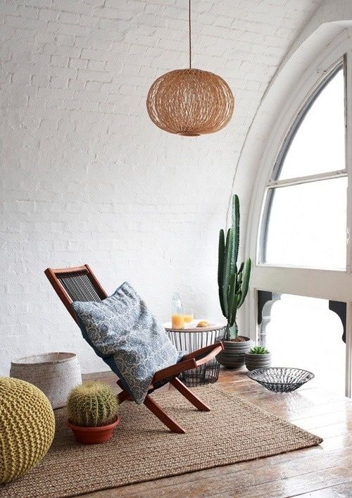 5. Cactus (any Cactus): Personality Trait: Exotic, Daring Care Tips: Light- Bright light, to full sun. Water- Water every other week and allow to dry before watering again. NOTE: light and watering tips vary from cactus to cactus. Read up on your chosen cactus for more accurate care tips. 