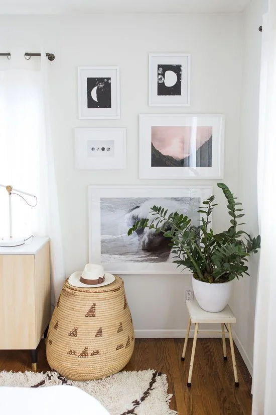 6. ZZ Plant : Personality Trait: Purifying, Energizing Care Tips: Light- Bright, indirect light to low light. Water- Loves to be forgotten. Water and allow to dry before watering again. 