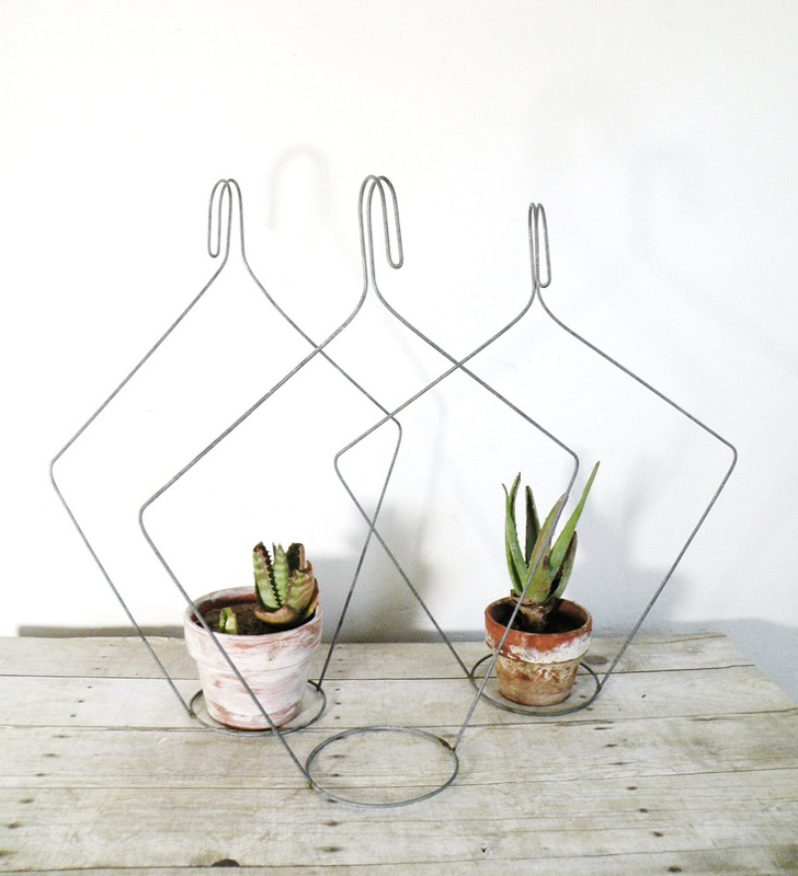  P lant hangers from hangers. 