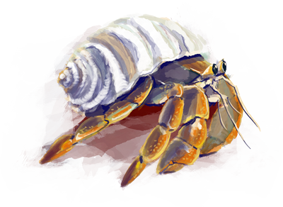 hermitCrab_web.png