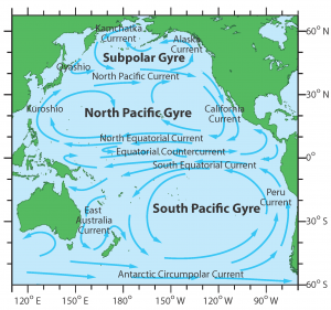 The North Pacific Gyre is a system of 4 oceanic currents: the Kuroshio Current, the North Pacific Current, the California Current, and the North Equatorial Current.