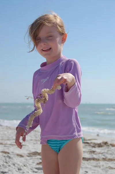 Maybe you've made this face after coming across these long snake-like strings on the beach! 
