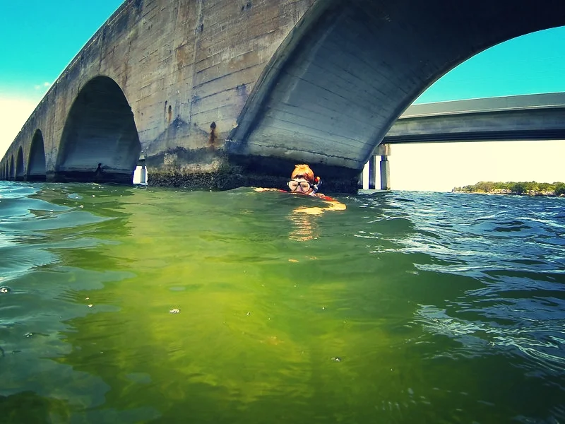 Snorkeling for treasure under the bridge at Big Pine Key.
