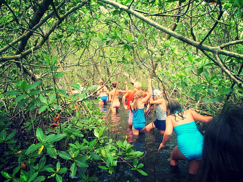 Our devoted tribe of marine worm enthusiasts ventured into the mangroves in search of even more fascinating worms. 