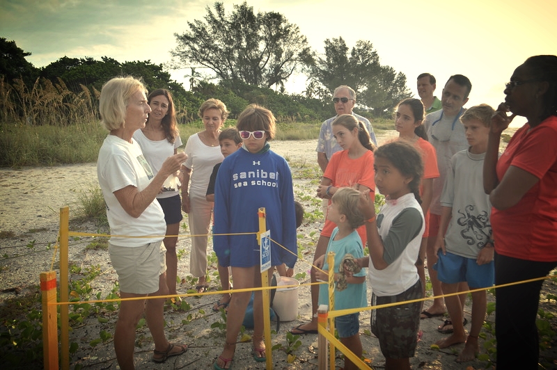SCCF volunteer Nancy Riley conducts a sea turtle nest inventory while Sanibel Sea School campers observe. 