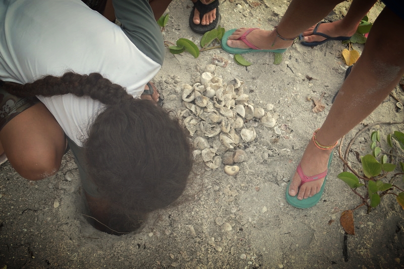 Niko Palanzi is amazed by the depth of the sea turtle nest.