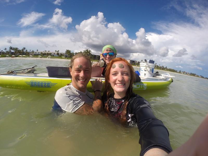 Sanibel Sea School's research team studies (and sometimes decorates themselves with) the sand dollar population in front of Sundial Resort each month. 