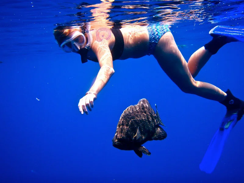 Leah Biery : While in the Keys for Coral Reef Week one year, we took the campers offshore to swim in the Gulf Stream. The water was so clear and blue that you could hardly tell which way was up. As soon as I jumped in, the most beautiful school of tiny mahi-mahi swam by, then this tripletail decided I'd make a good habitat. She stayed right under me until it was time to leave. 