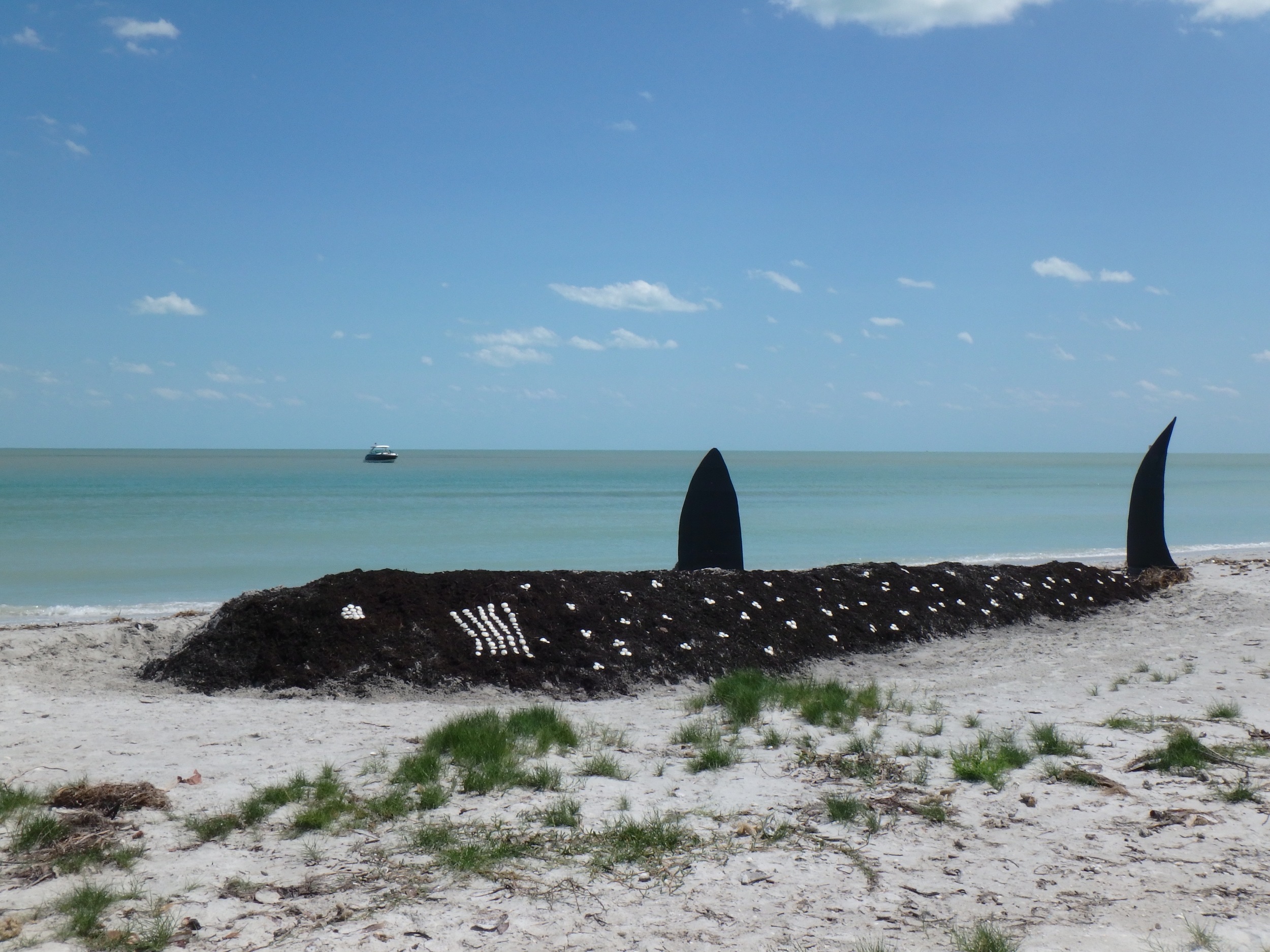 A life-sized whale shark sand sculpture built by Sanibel Sea School students for the PBS KIDS series SPLASH.
