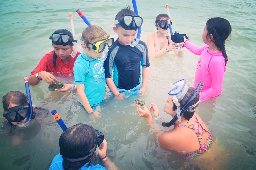 Rainy weather didn't prevent us from searching for creatures in the bay. 