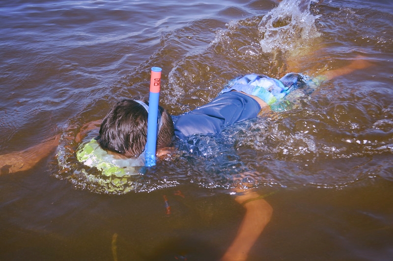 The brown water we are currently experiencing is colored by tannins, compounds that are released by trees along the Caloosahatchee River. Tannins are also responsible for the coloration of coffee and tea. 