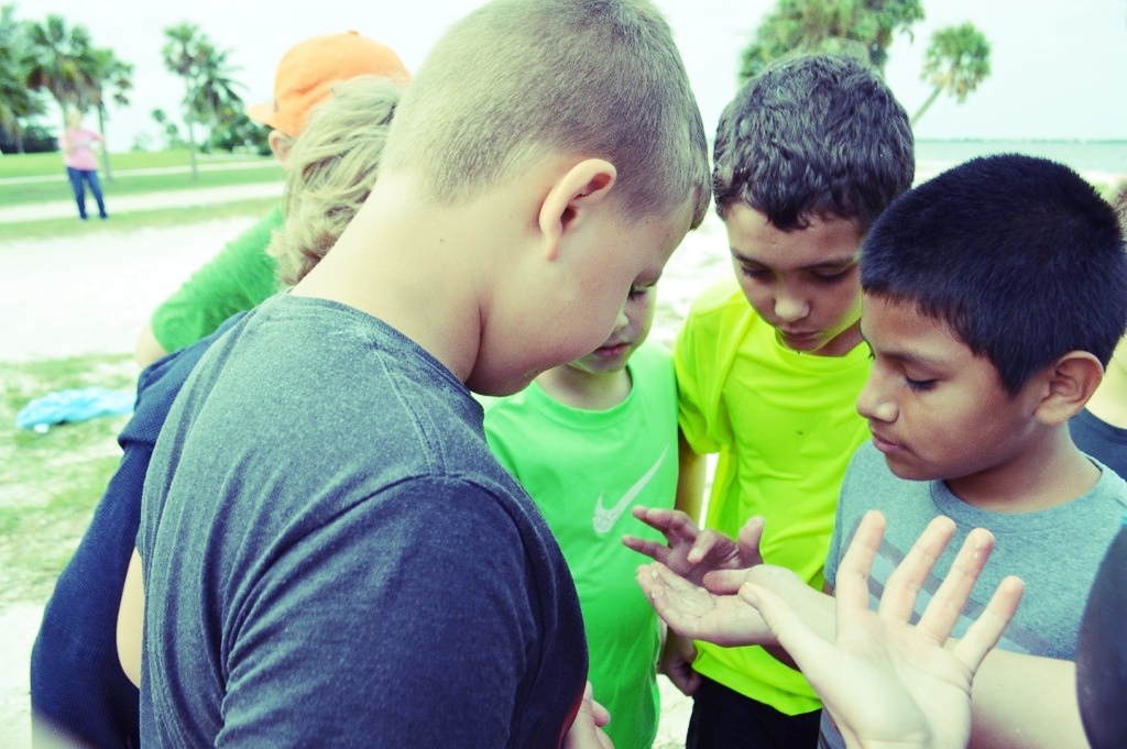 Students from LaBelle examine a comb jelly on the Causeway Islands.