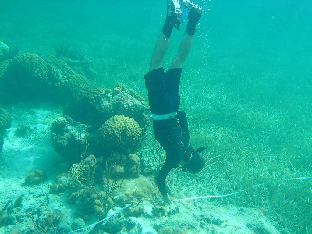 A Sanibel Sea School camper monitors seagrass health near Andros Island in the Bahamas. 