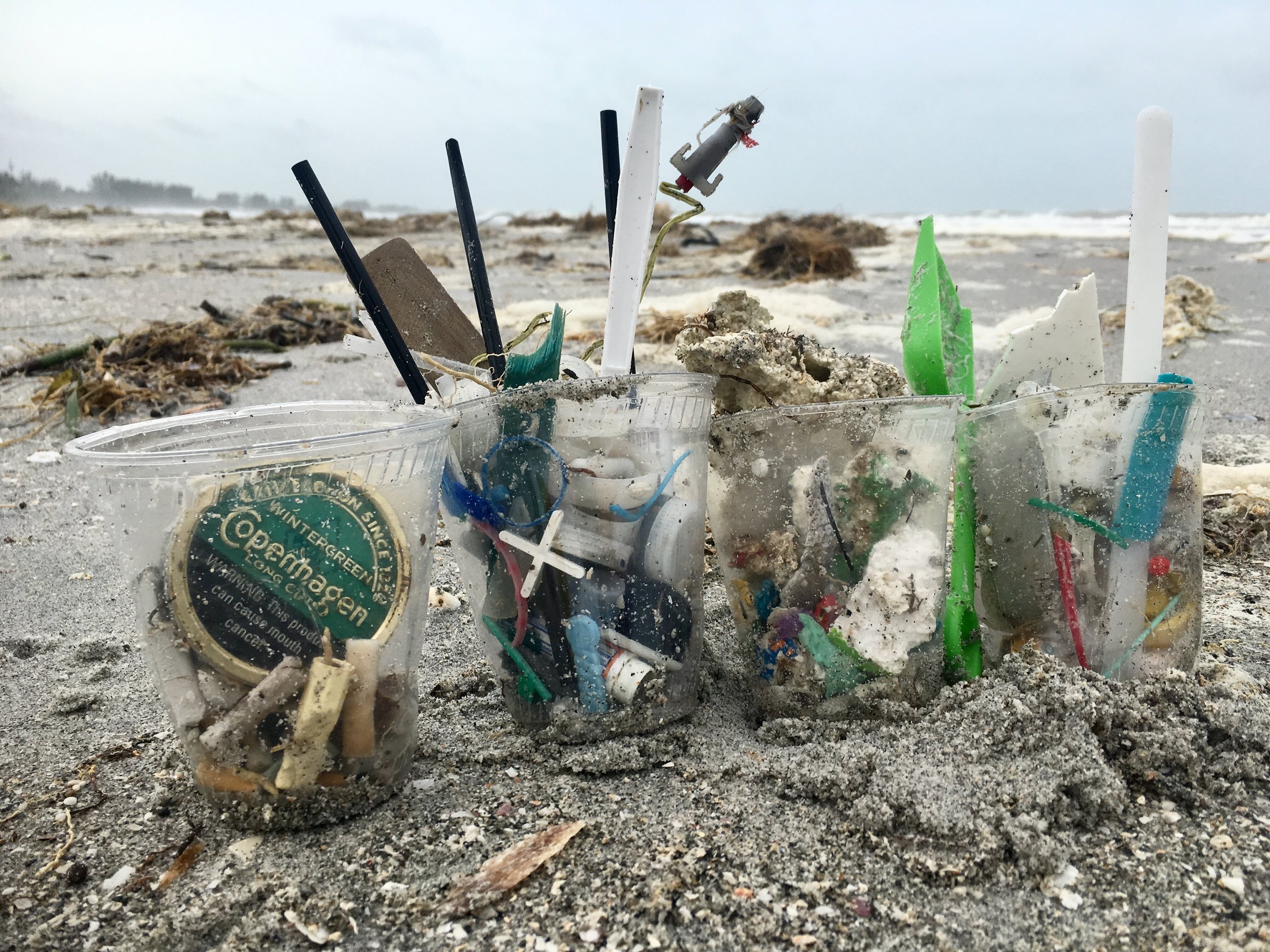 Items collected during a beach cleanup on Captiva. 