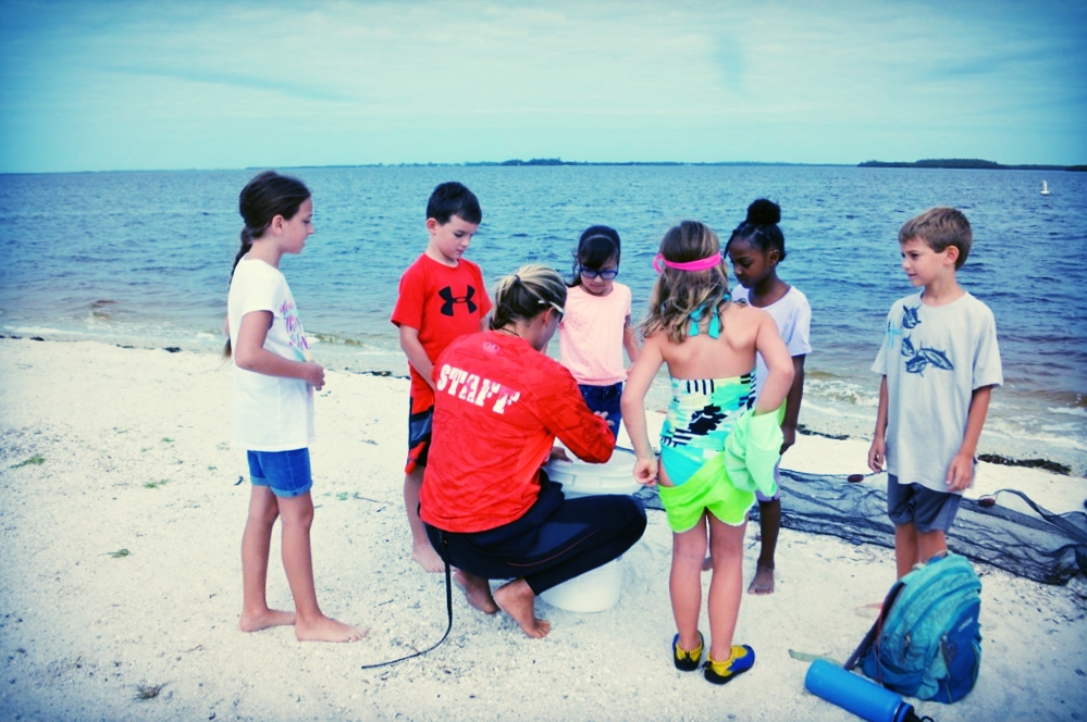 Hendry County students from Ms. Akin's class visit the Sanibel Causeway to learn about seagrass ecosystems. 