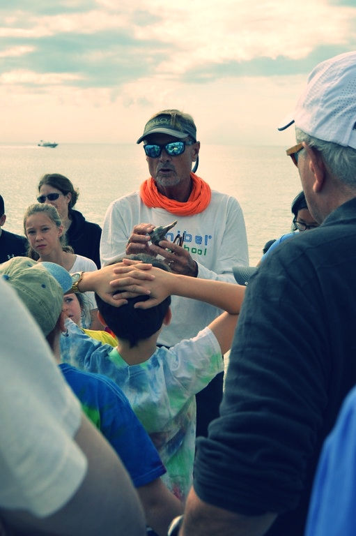 Doc Bruce talks about the lightning whelk's life cycle during Sanibel Sea School's November Beach Walk. 