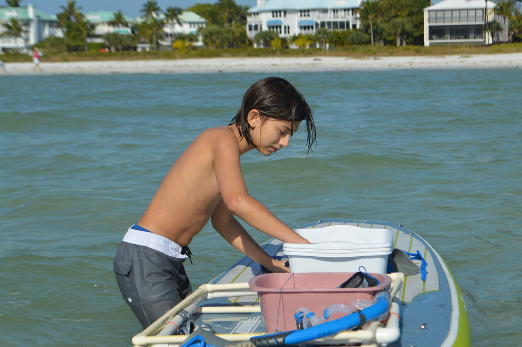 Aiden Bolado observes sand dollars in a bucket before releasing them into the Gulf. 