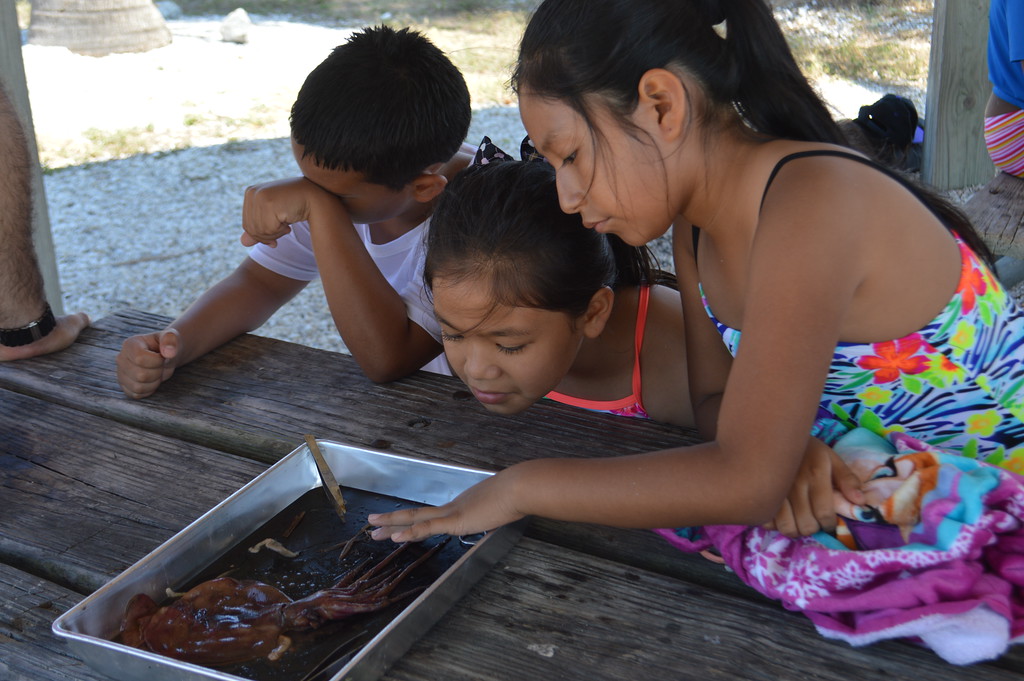 Manatee Elementary students also participated in a squid dissection lab.