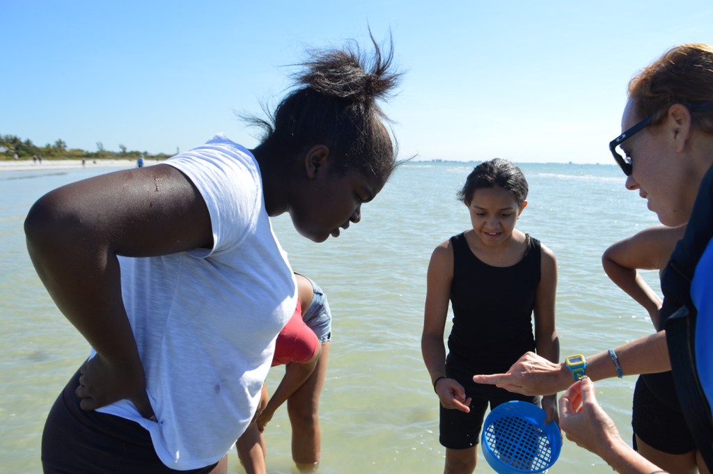Students from the Pine Manor Improvement Association's Teen Program examine a tiny marine worm on a recent outing with Sanibel Sea School. 