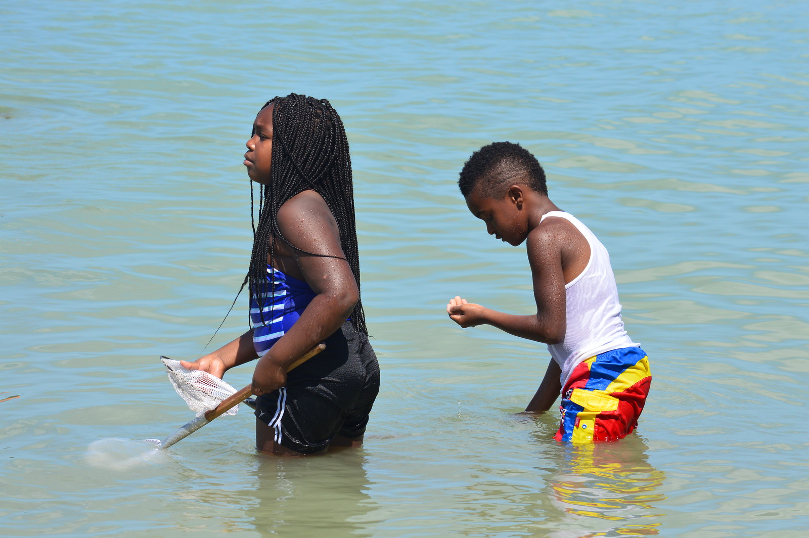 Students searched for shells and tiny creatures using dip nets during a break. 