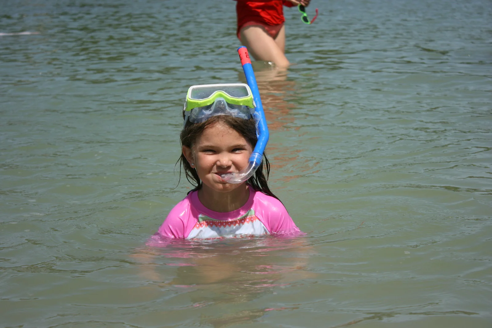 You are sure to see lots of mangrove inhabitants while snorkeling in San Carlos Bay. 