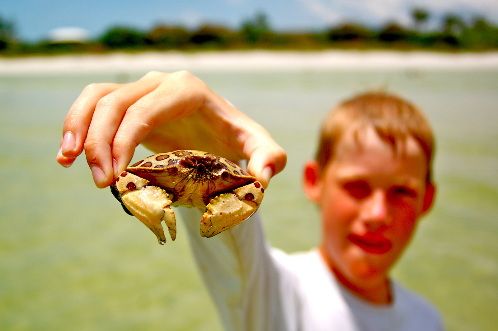 Participants in an intergenerational travel program will learn about Sanibel's fascinating creatures and ecosystems. 