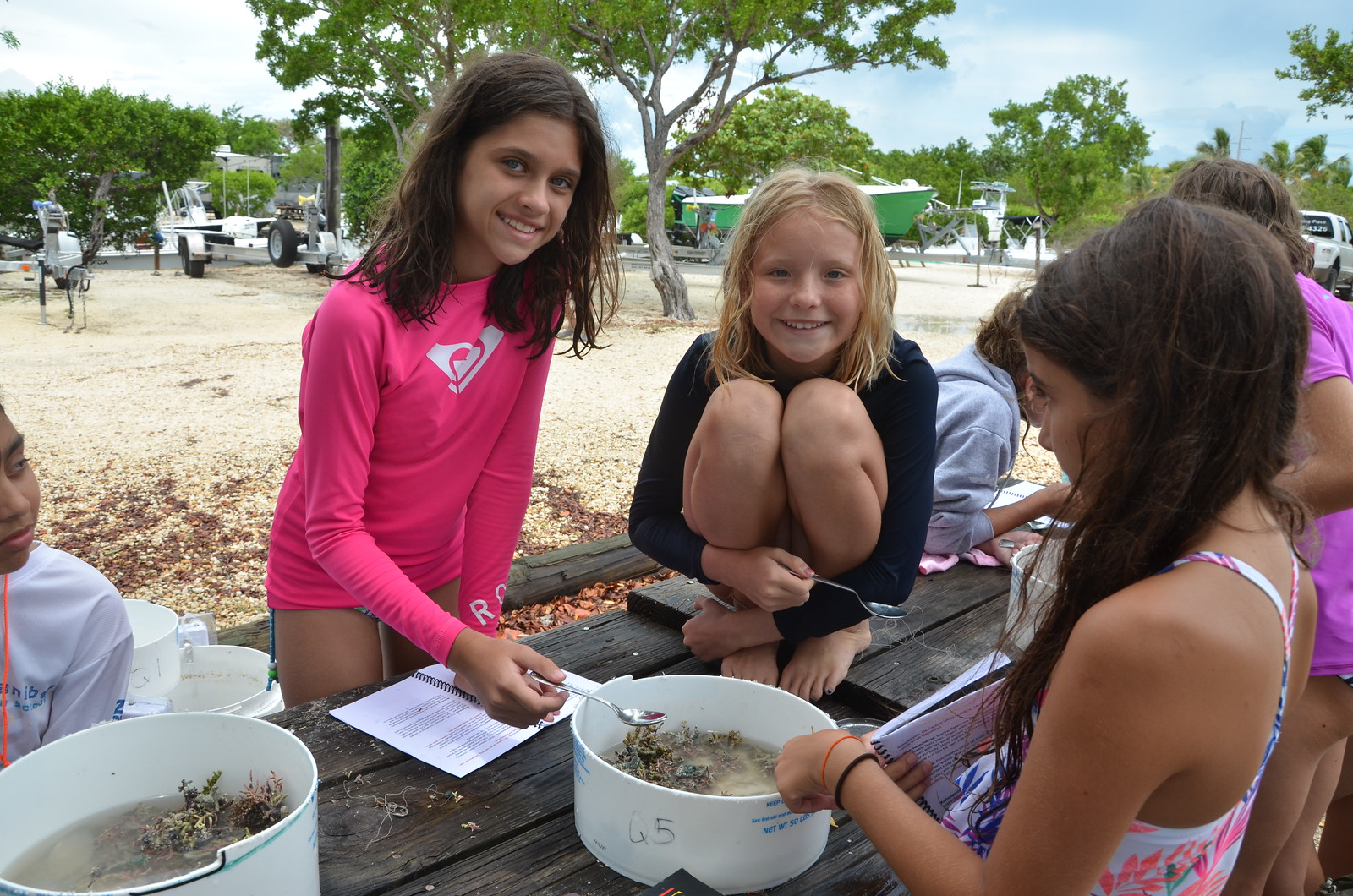 Coralline algae provides habitat for thousands of invertebrates. During a lab, campers tried to identify as many species as possible. 