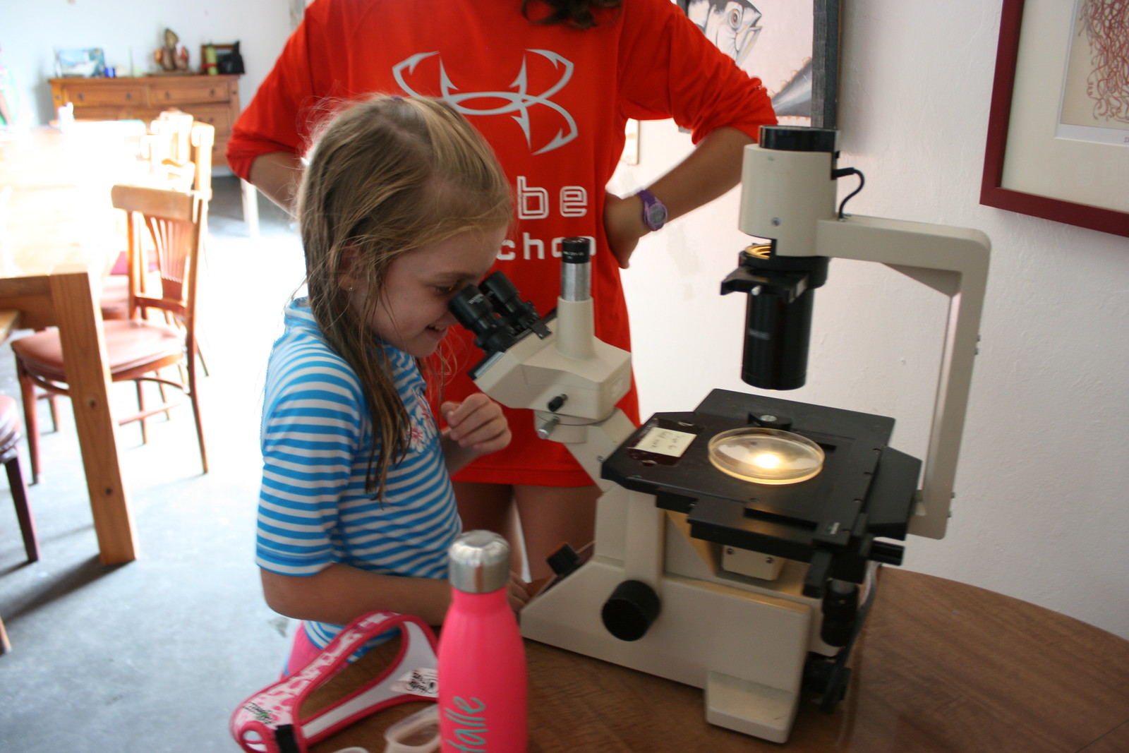 Pipefish Week campers examined plankton (a favorite food of the pipefish) under a microscope. 
