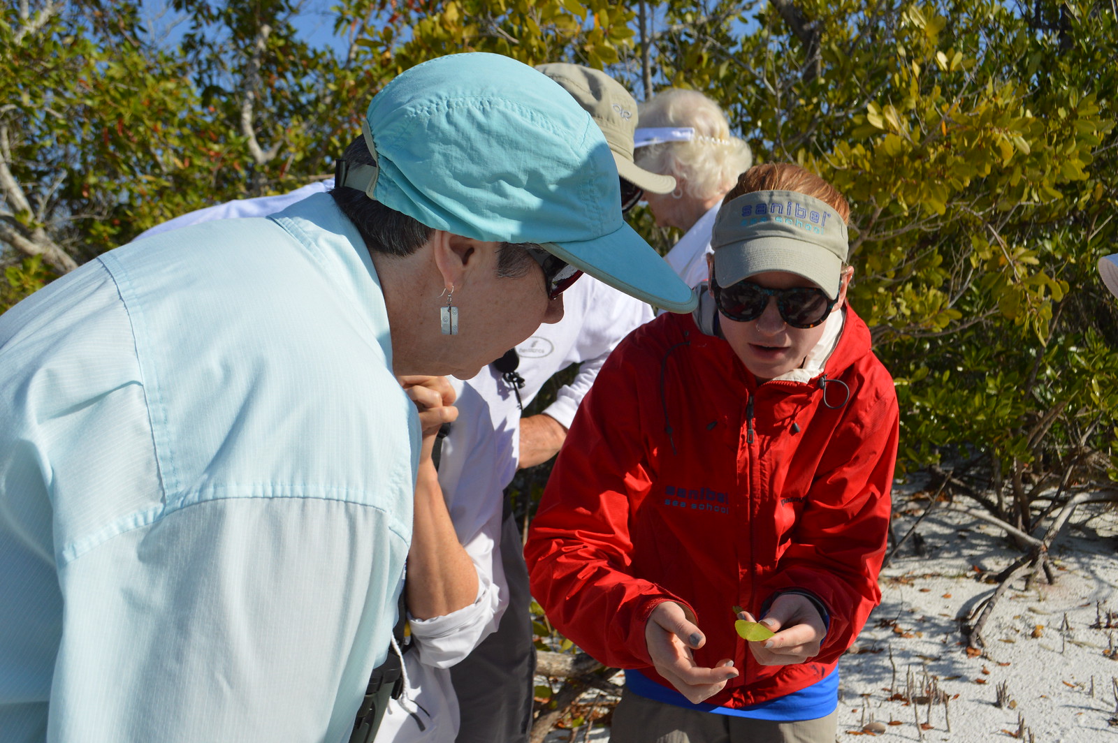 Nicole Finnicum talks about mangroves on a guided beach walk. 