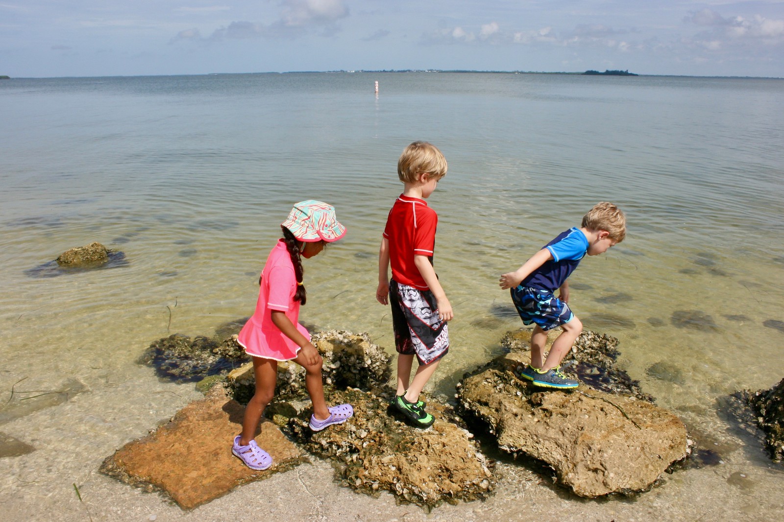 Young children can explore the ocean during Sanibel Sea School's Sea Squirts Day Camps.