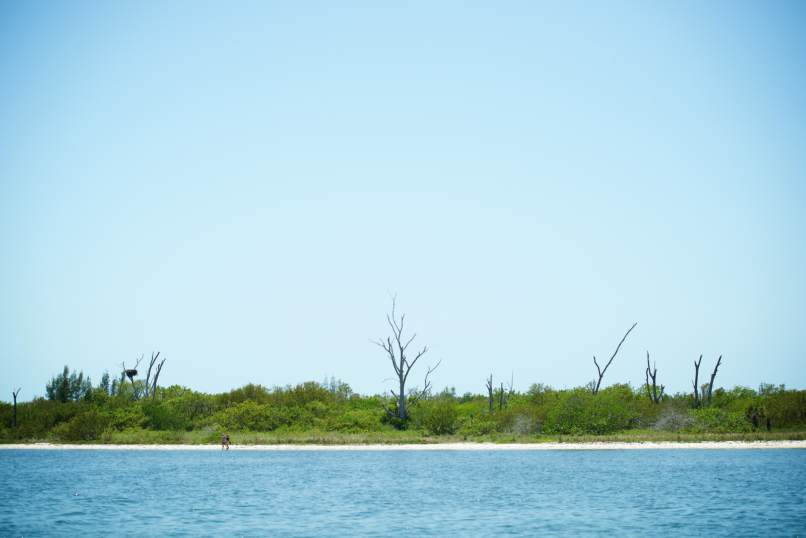 Cayo Costa is an undeveloped island, located about 20 miles north of Sanibel. 