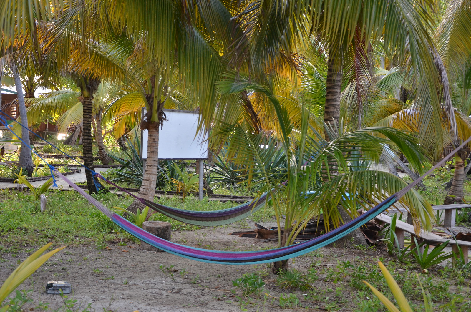 Hammocks waiting to be lounged in. 