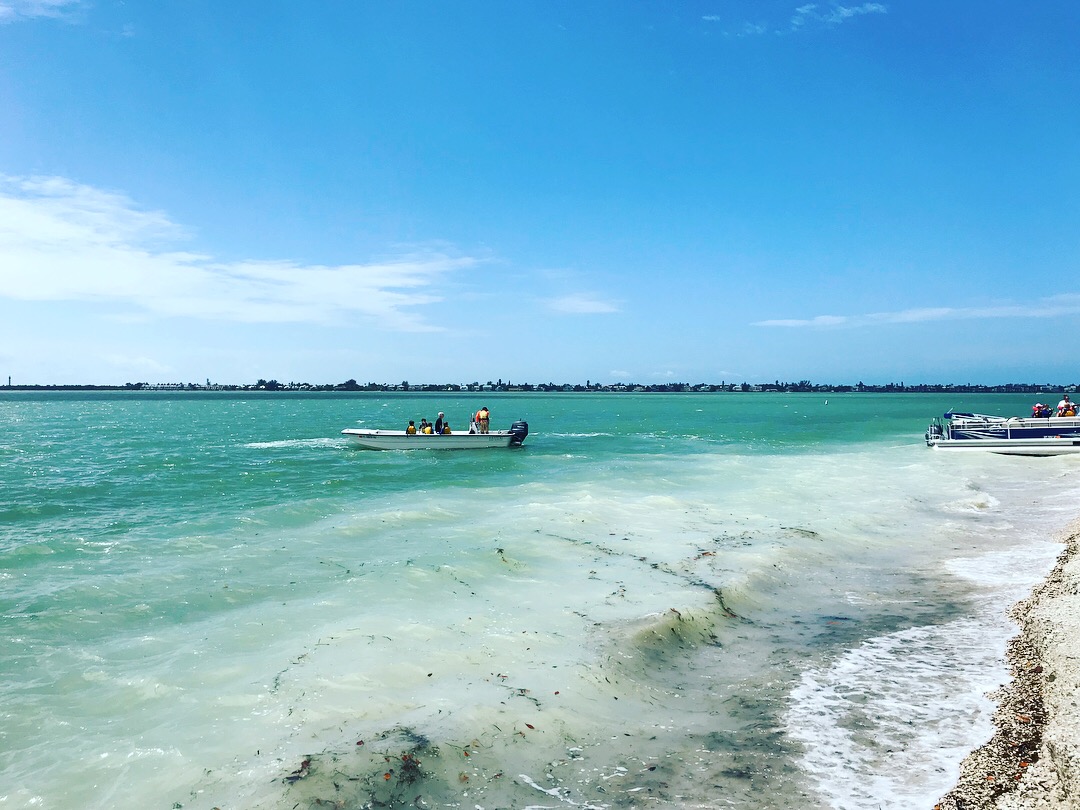 A group headed out for a boat ride in search of wildlife.&nbsp;