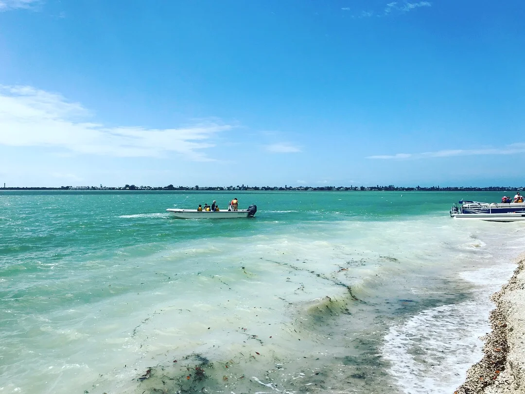 A group headed out for a boat ride in search of wildlife. 