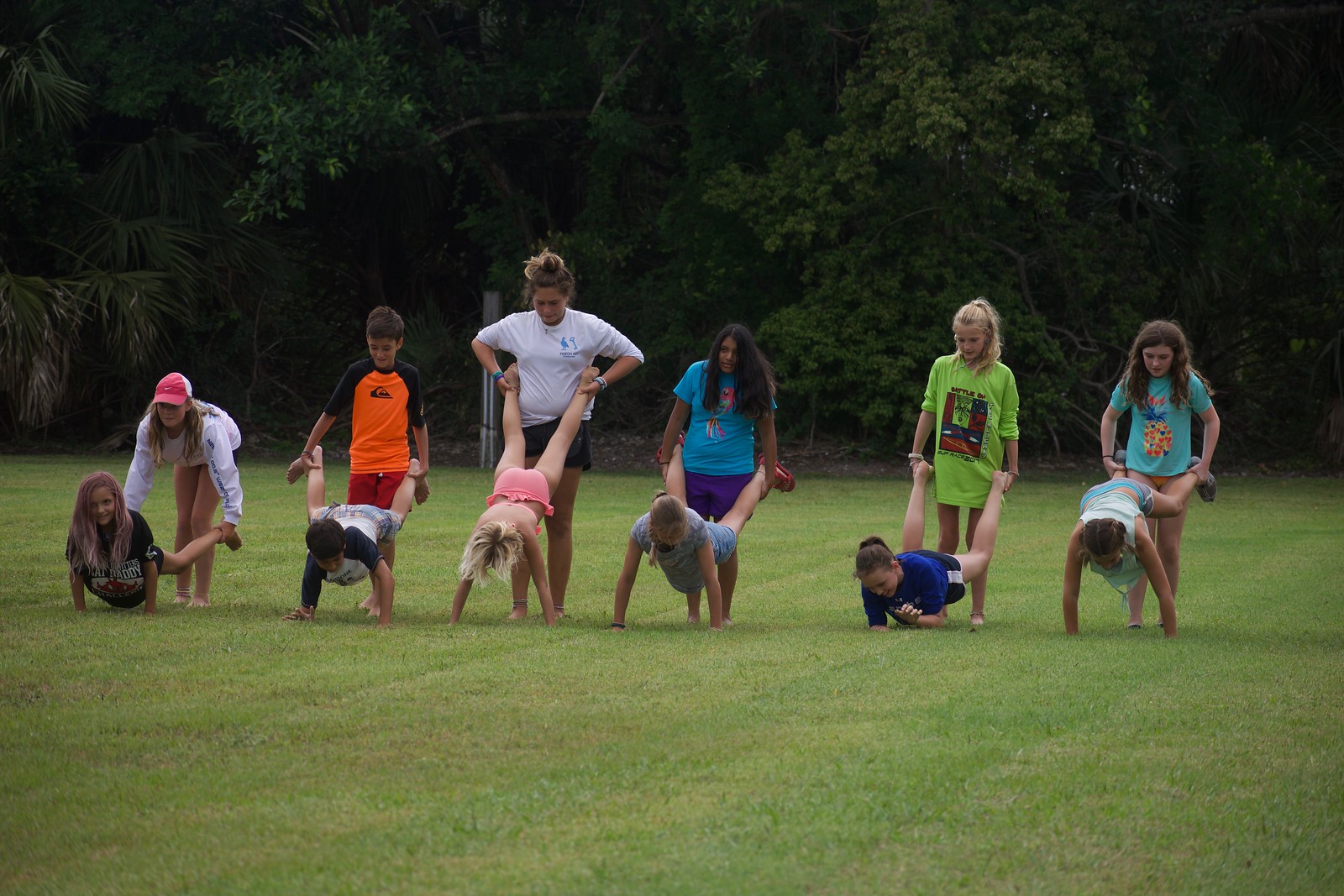 DSC_0509-X3.jpg
