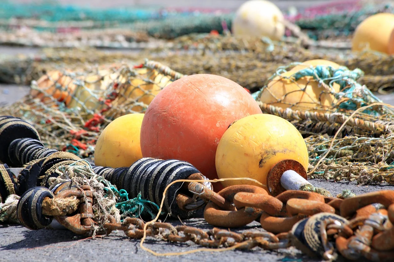 buoy-1402943_1280.jpg