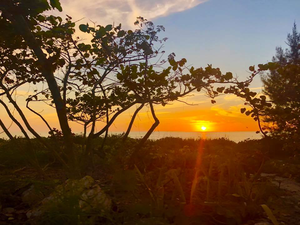 Kate shares beautiful images of the islands through her On Island social media channels, and enjoys helping people feel connected to Sanibel and Captiva from anywhere. Photo credit Kate Sergeant.
