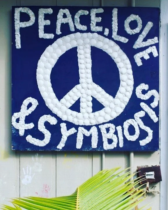 Sanibel Sea School has always woven the tenets of kindness, love, and equality into our mission.Our only institutional rule is to be kind - be kind to others, be kind to yourself, and be kind to the environment.As always, we will spread kindness,