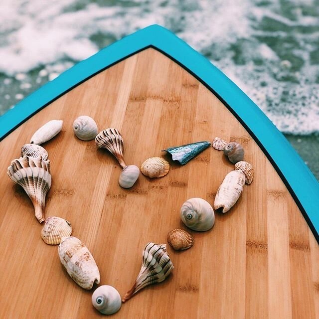 Dear Ocean Tribe,

We have made the very difficult decision to cancel our summer camps this year as a result of the rising COVID-19 cases in the State of Florida.

Safety is paramount in our programs and we must do everything we can to protect our ca