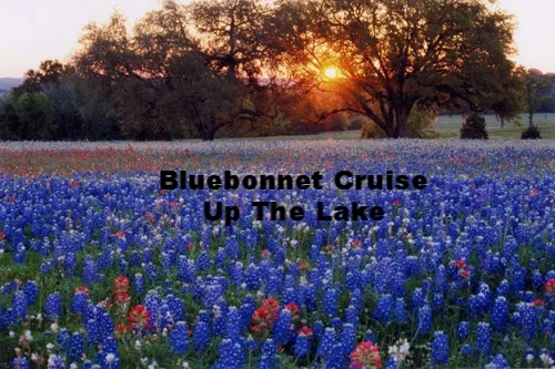 Annual BlueBonnet Cruise
