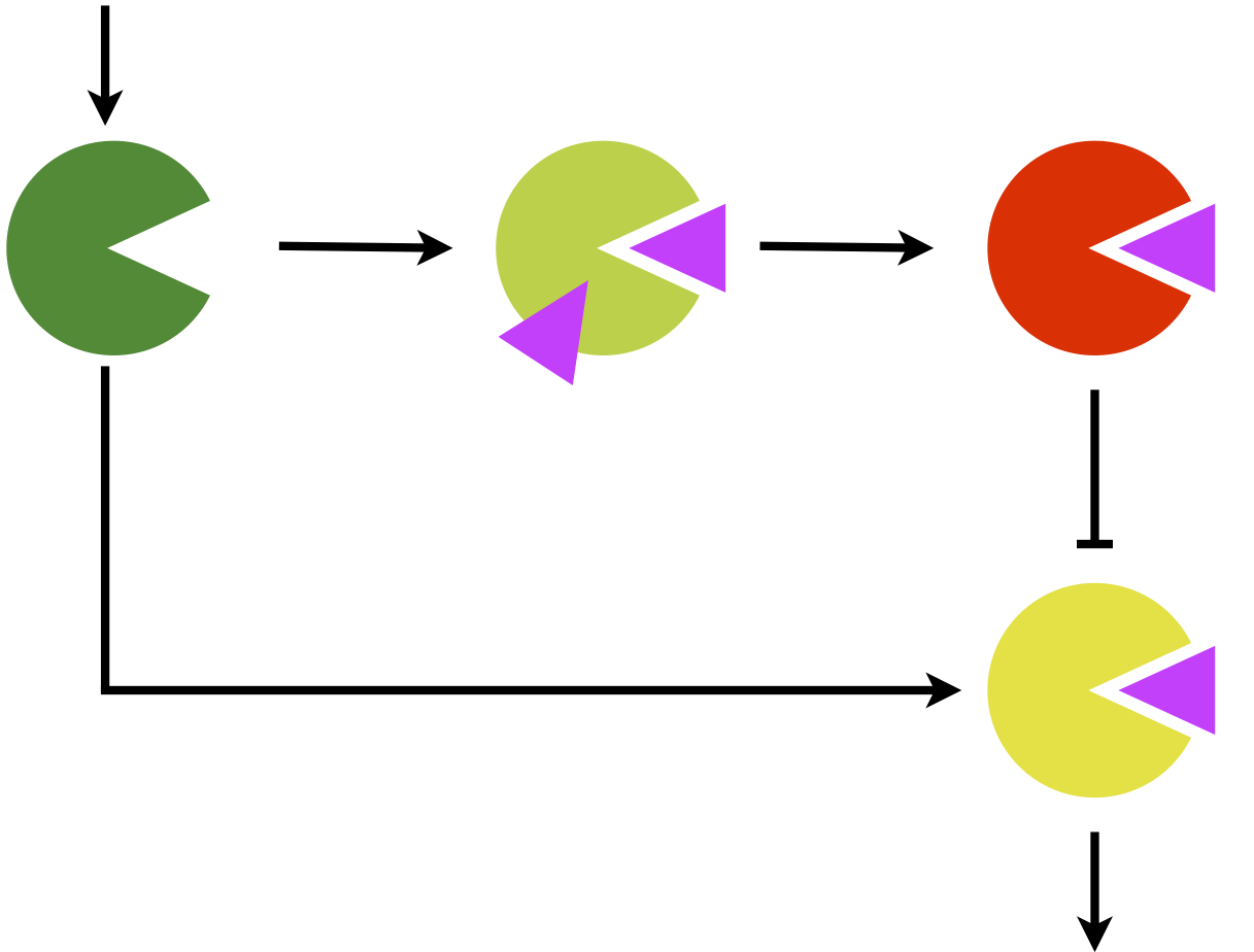 multiscale-cartoon.png