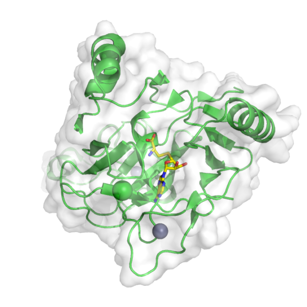 Protein methyltransferase NSD1 (pdbid 4h12)